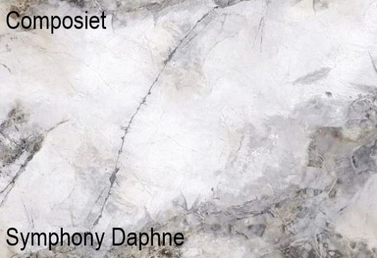 6 Composiet Symphony Daphne Poli.jpg